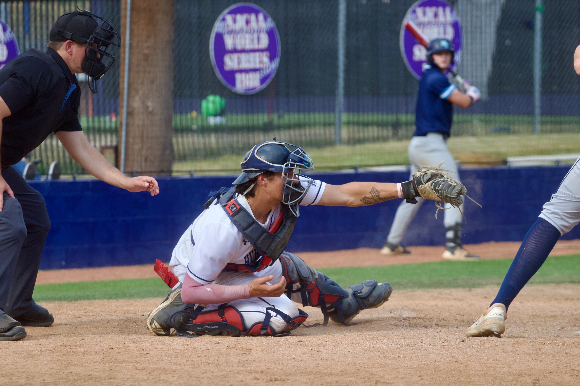 Louisburg College Catcher
