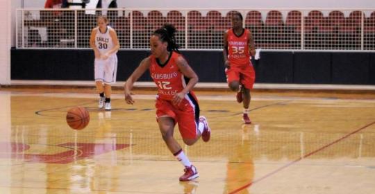 Lady 'Canes Advance to the Region X Championship Games
