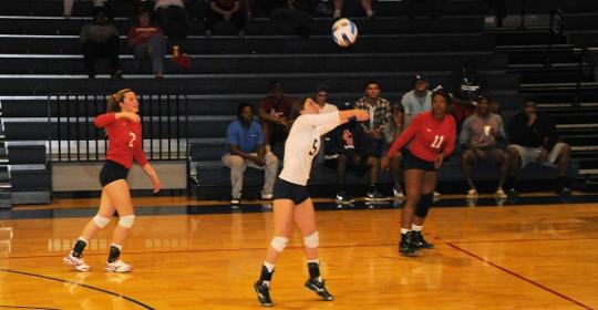 Lady canes Fall in Three